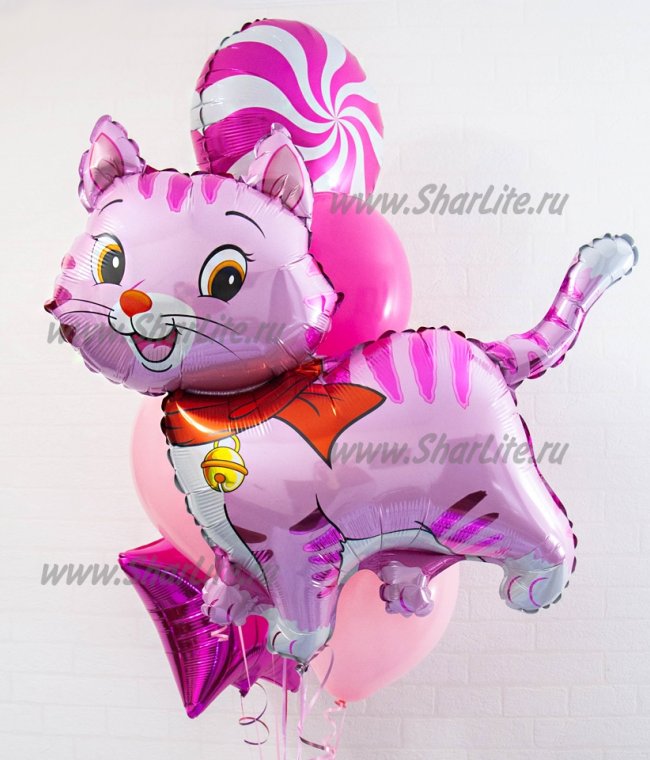 Набор шаров с котенком в розовой гамме